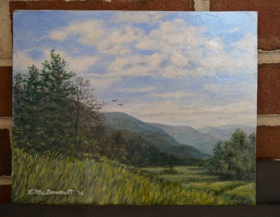 Valley View - 8X10 acrylic