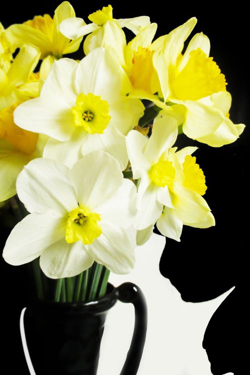 Narcissus in vase by Julia Gogol