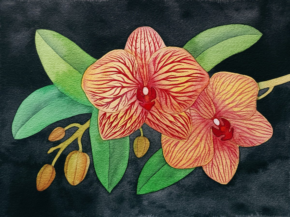 Tropical Eden n.5 - Orchids by Veronika Demenko