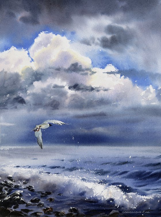 Seagull over the sea