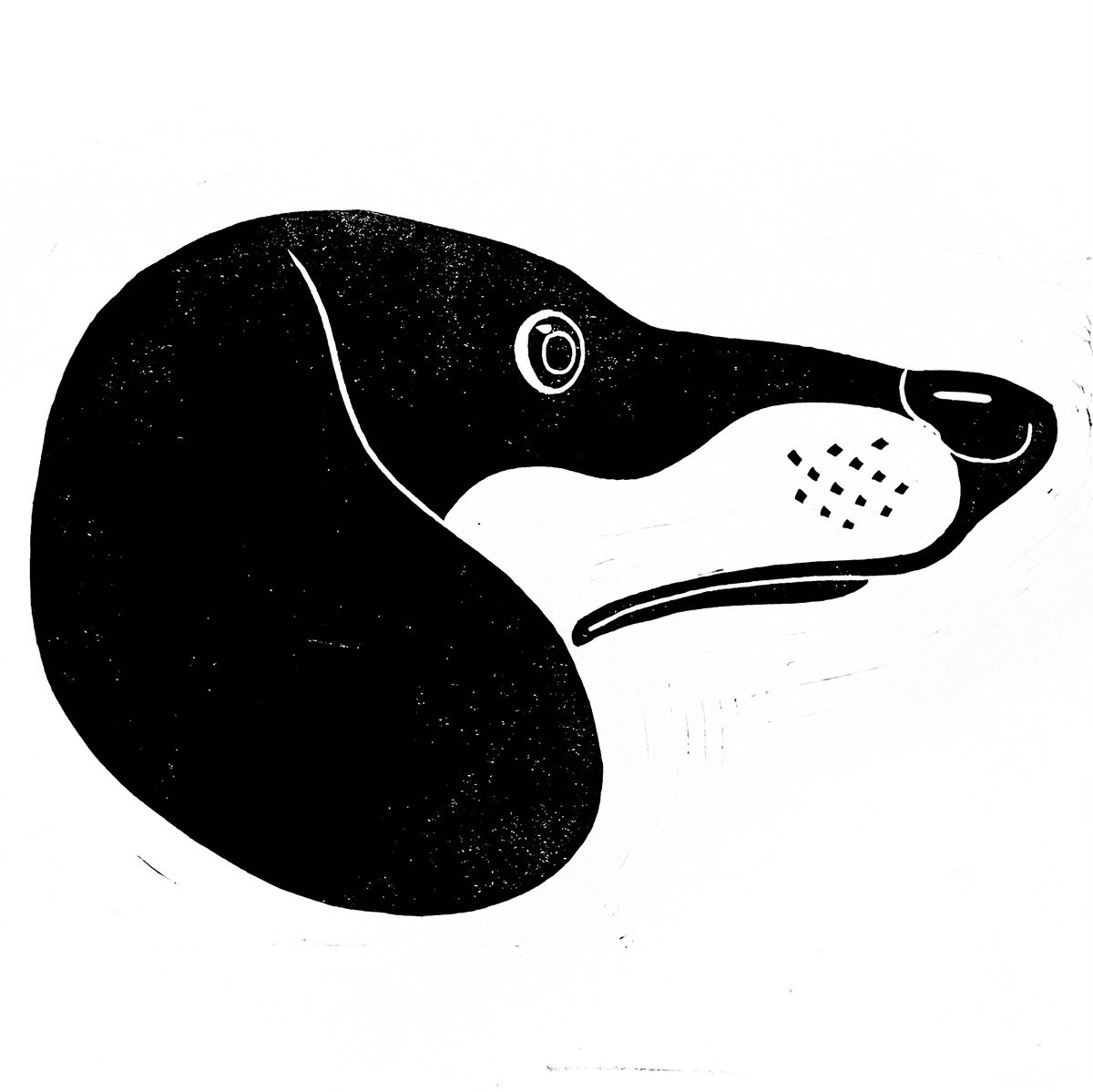 Dachshund by Mark Howard Jones