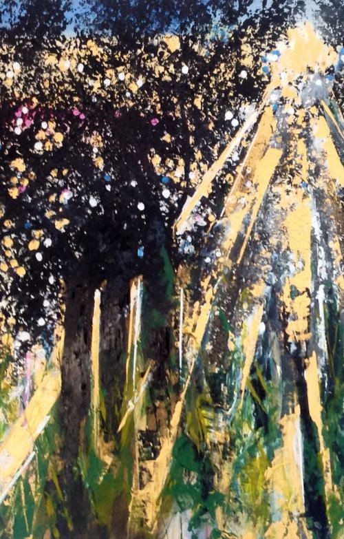 Forest Light by Michelle Carolan