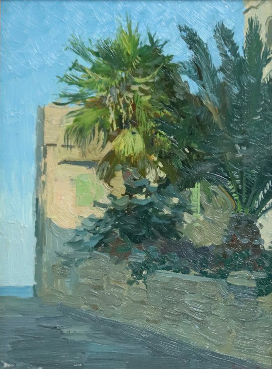 Palm trees. Sliema