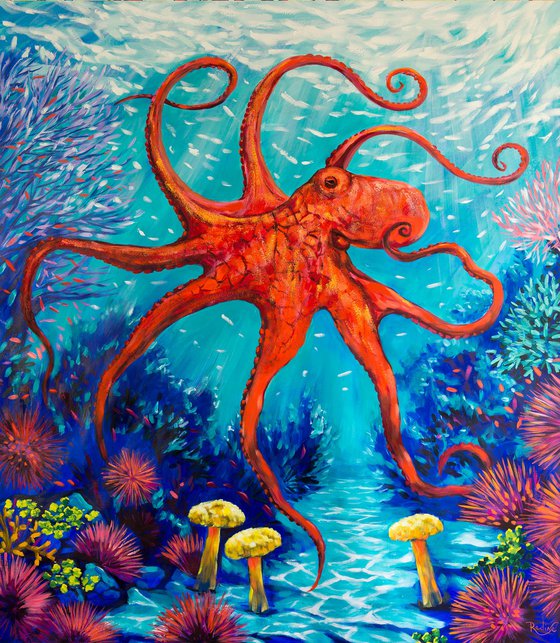 Octopus