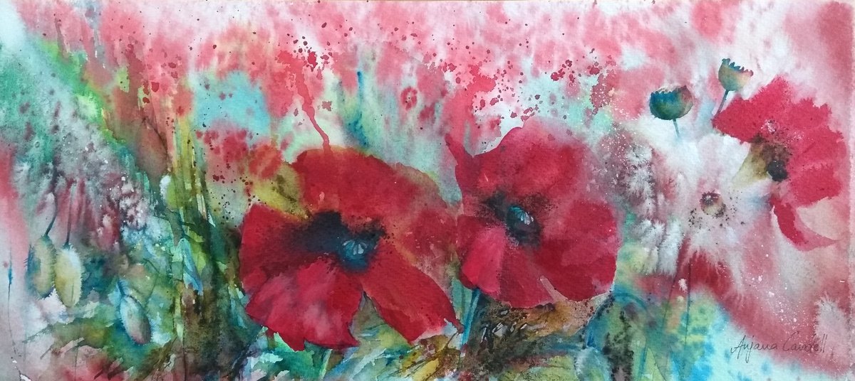 Poppy painting, Original watercolour painting, Floral Wall Art, panoramic, contemporary by Anjana Cawdell