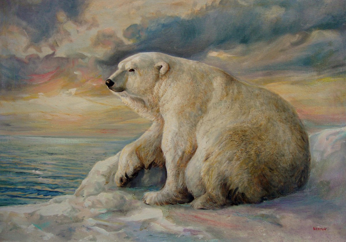 Polar Bear Rests On The Ice - Arctic Alaska by Svitozar Nenyuk