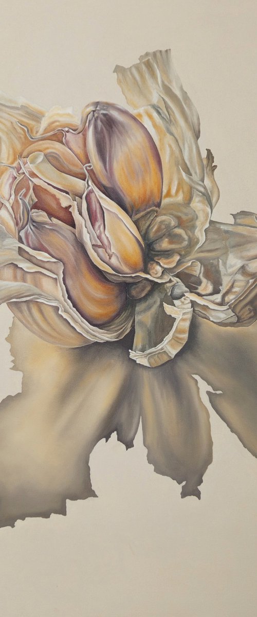 Garlic flower by Marelize Coetzee