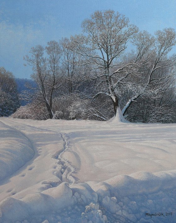 Fresh snow