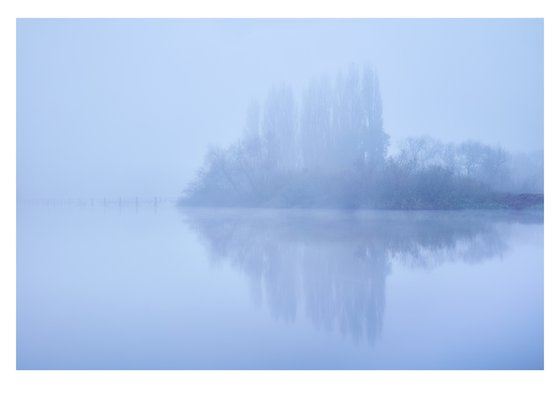 Misty Trees Reflection