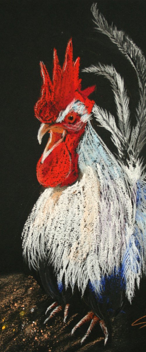 Rooster VI - Pet portrait /  ORIGINAL PAINTING by Salana Art / Svetlana Samovarova