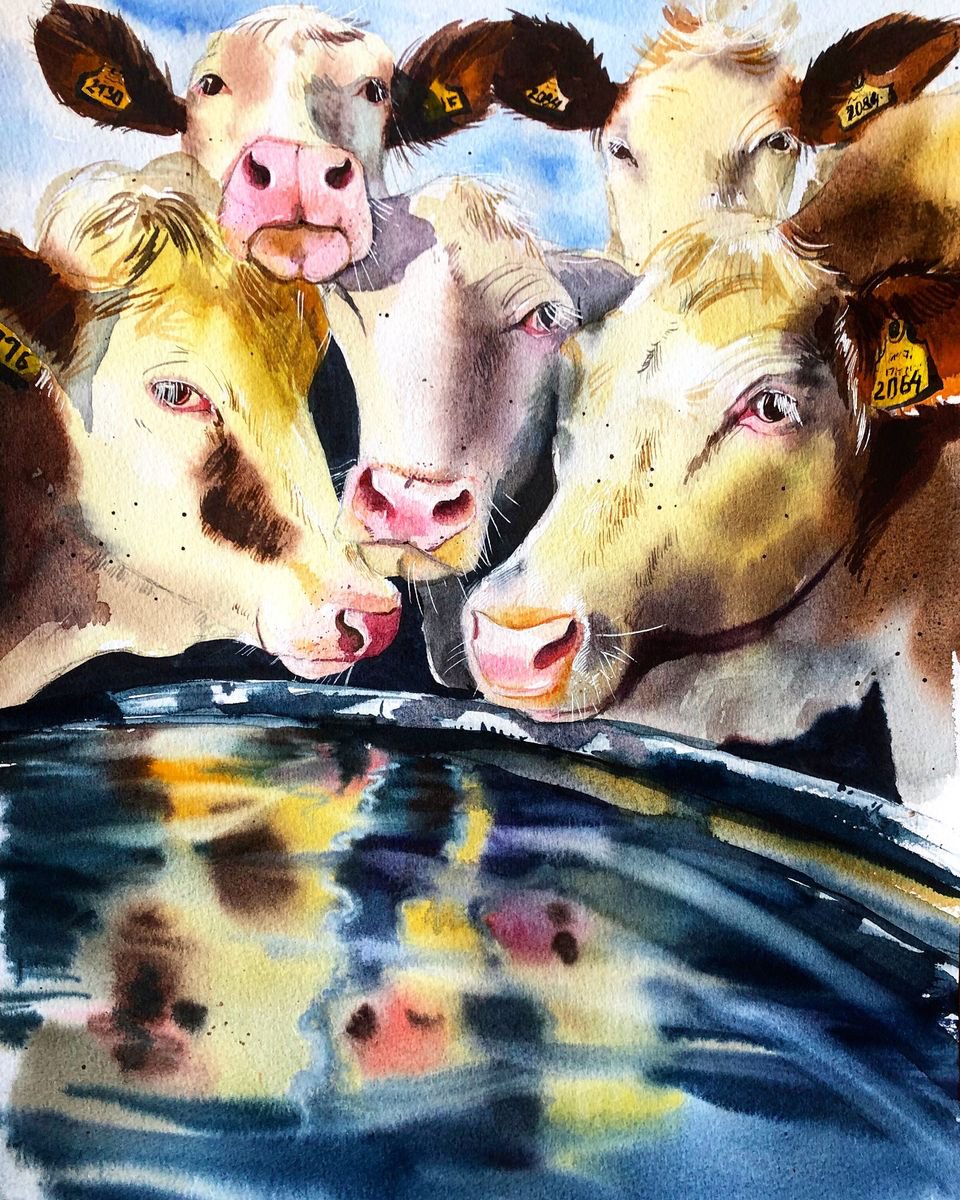 Impressionistic Animal Watercolour By Ksenia Astakhova, 12 X 16", Cows From Savoie, Original Artwork