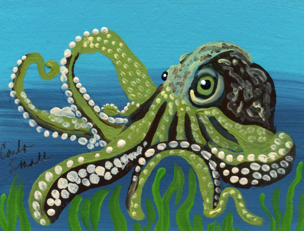 Octopus by Carla Smale