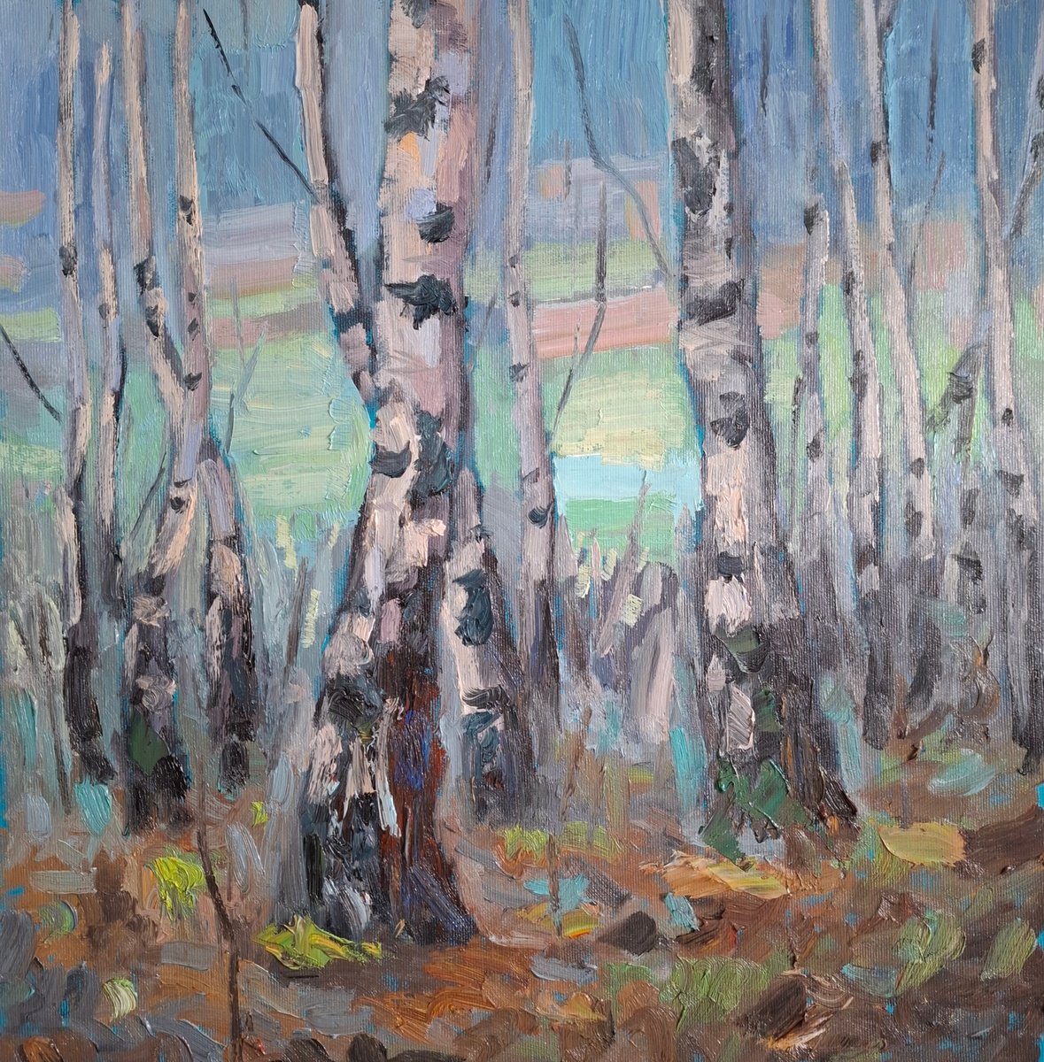 Impressionistic Landscape Oil Painting By Olena Kolotova, 20 X 20", Spring "Sunny Forrest", Original Artwork