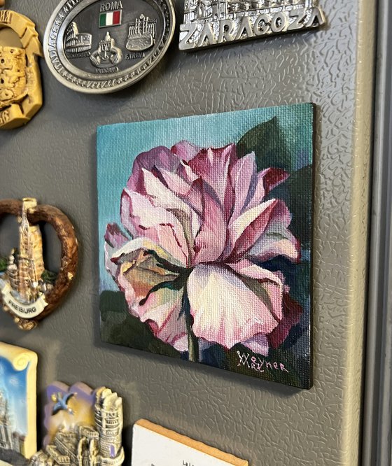 Pink rose. Miniature painting, flower art