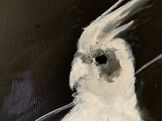 Two Birds 12x16 Canvas