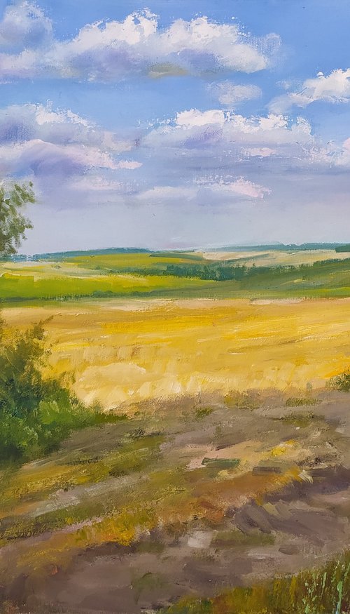 Ukrainian landscape by Valentina Andrukhova