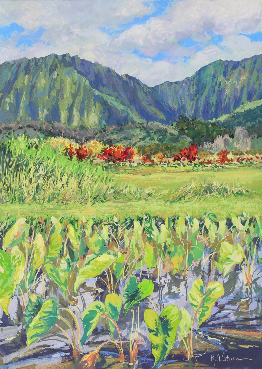 Taro Pond, Hanalei, Kauai by Kristen Olson Stone