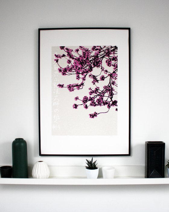 Beneath the Cherry Blossom (1/1 screen print)