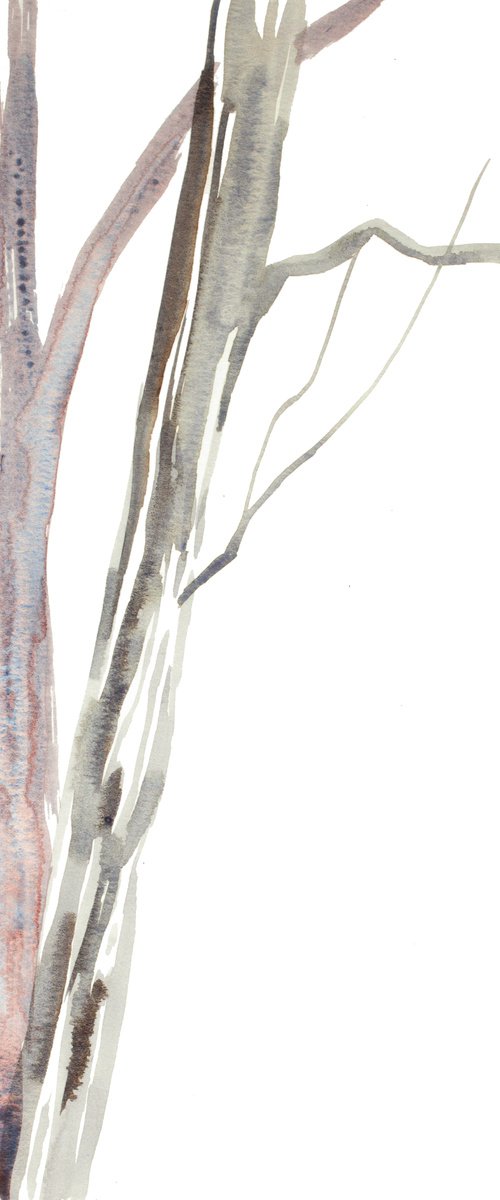 Tree Study No. 35 by Elizabeth Becker