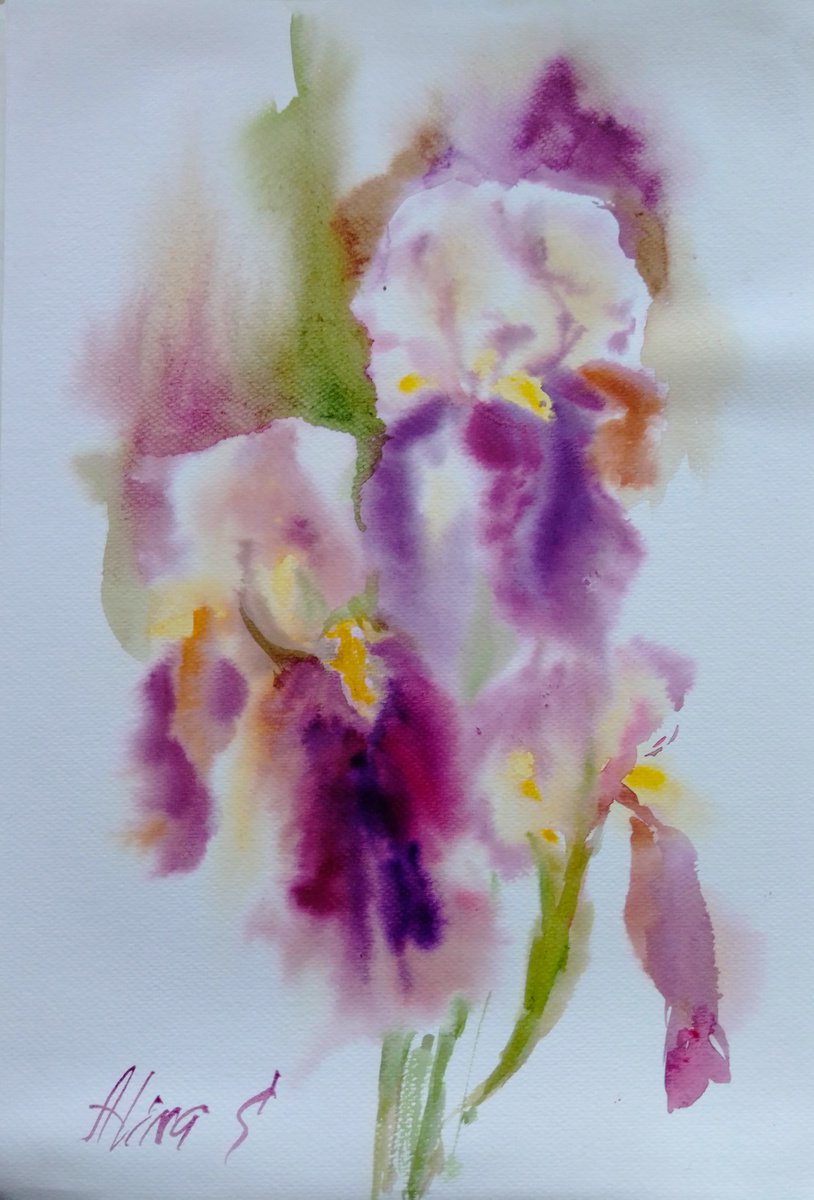 Purple irises by Alina Shmygol