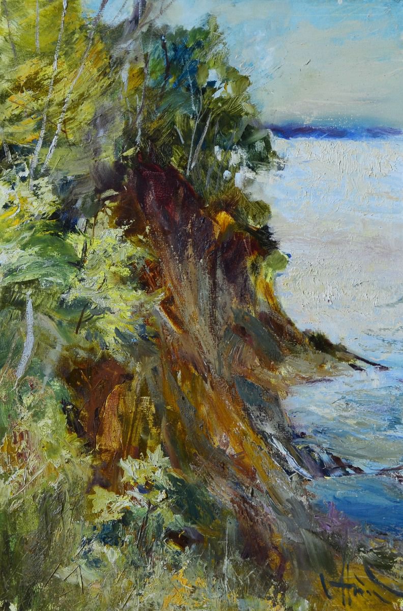 The Cliff by Andriy Naboka