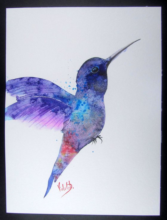 Hummingbird 8