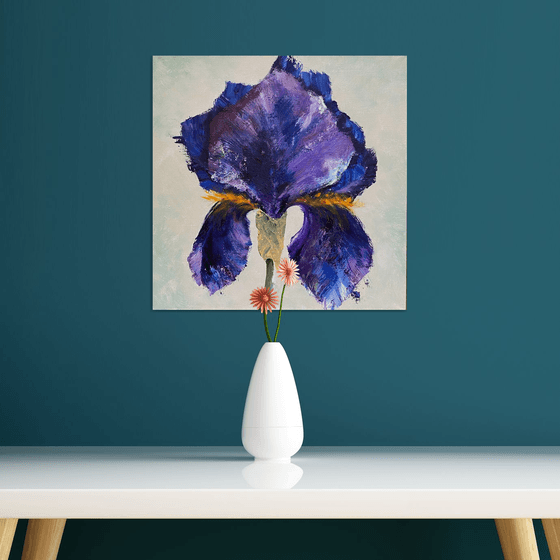 DARK BLUE IRIS
