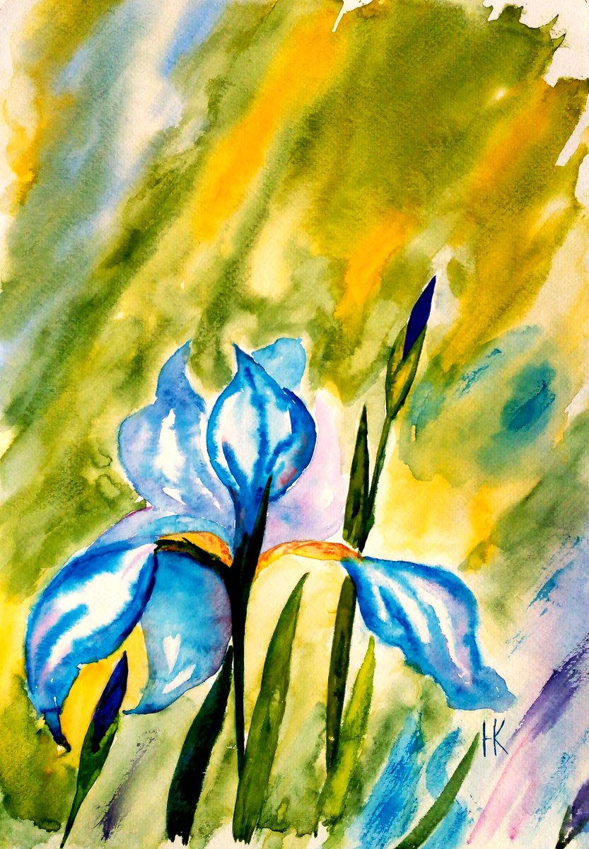 Iris Painting Original Watercolor Artwork Blue Irises Flower Home Wall Art 10 by 14 by Halyna Kirichenko