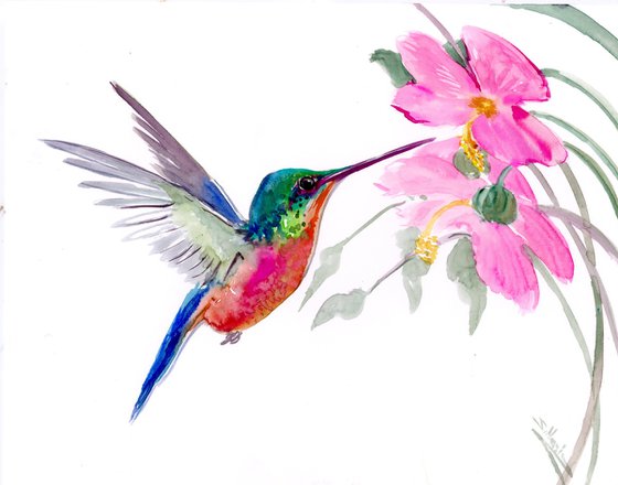 Hummingbird