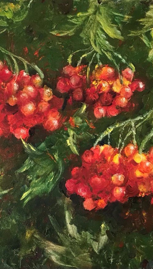 Red Viburnum by Tetiana Pchelnykova