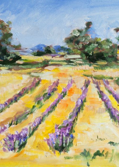 Lavender field in Provence by Sasha Romm