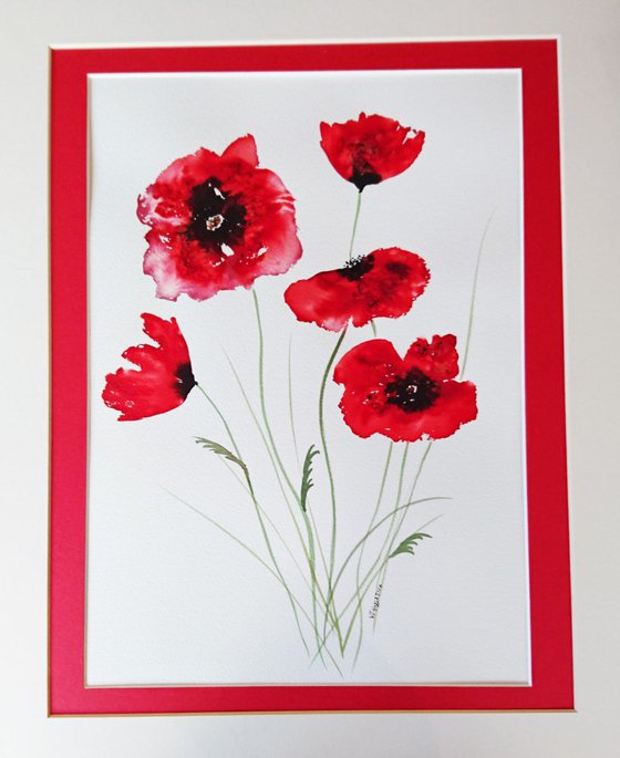 Bright RED poppies 16"x12"