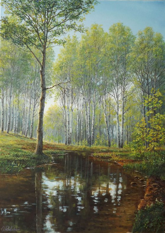 Birch Forest