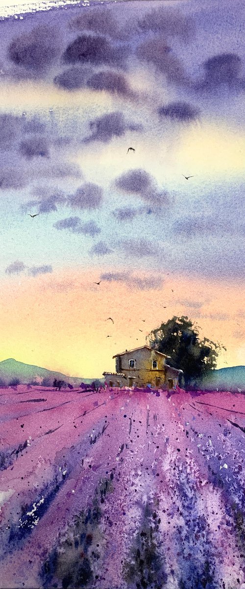 lavender field #3 by Eugenia Gorbacheva