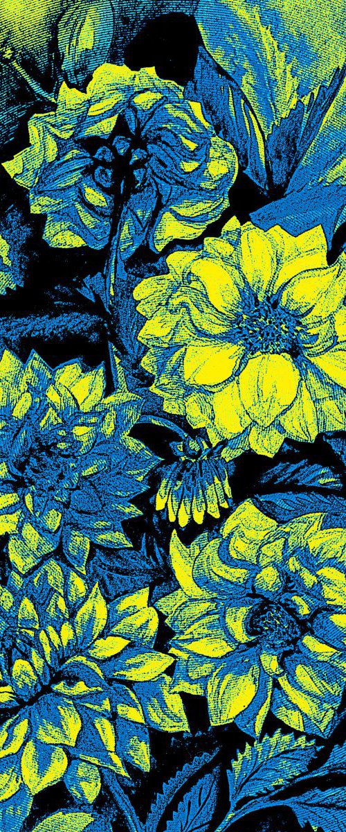 Chrysanthemums in blue and yellow by Julia Gogol