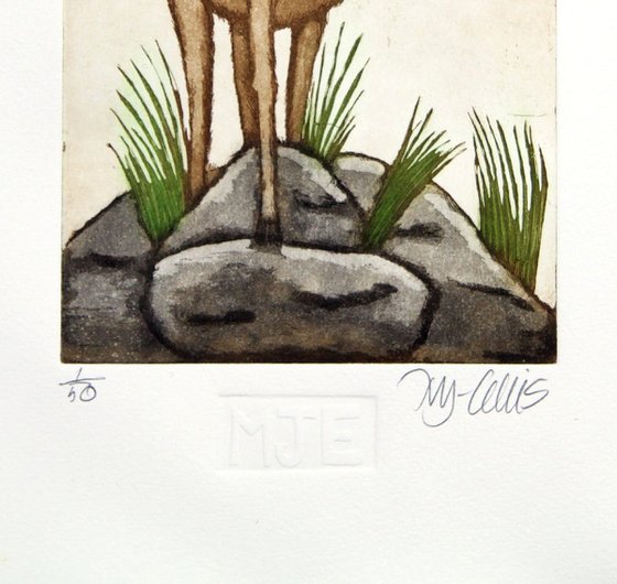 a set of Goat prints