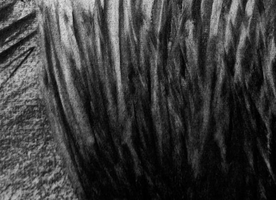River Flow Patterns (Source)