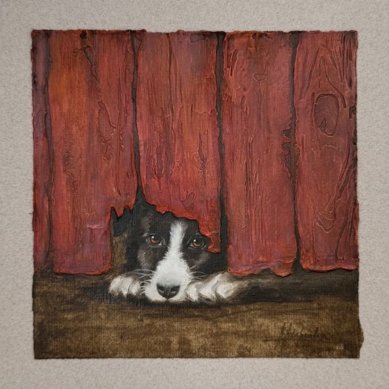 A dog and a red fence