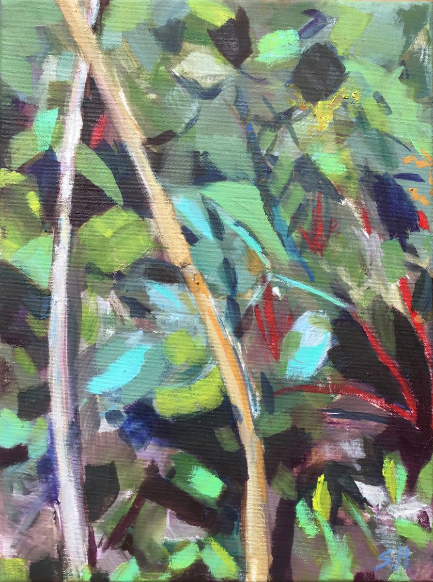 Veg Patch By Sandra Haney, 12 X 16, Artwork For Sale On Artfinder