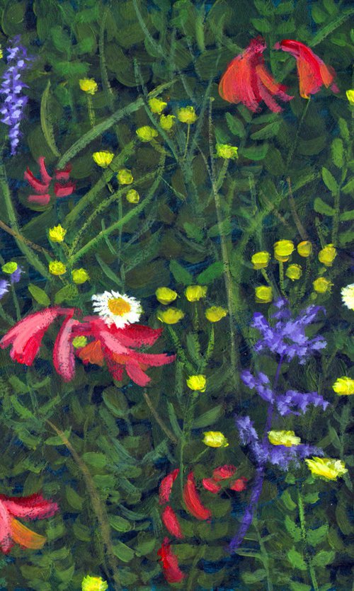 Cornish hedgerow by Tim Treagust