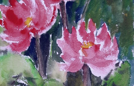 Set of two Water Lily Ponds