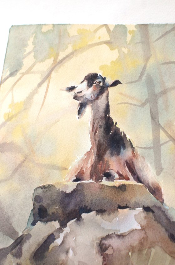 Wild goat in the Avakas gorge Watercolor nature of Cyprus
