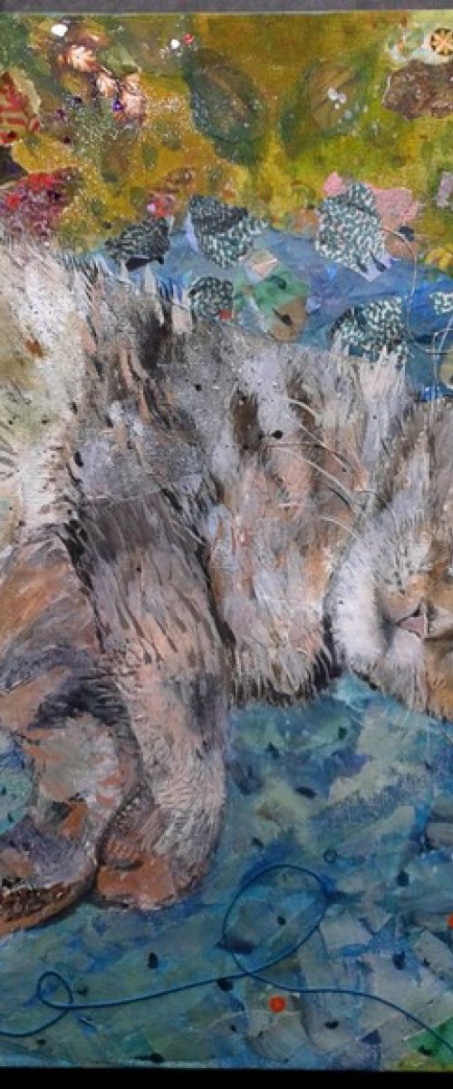 Local cat by Fiona Plaisted