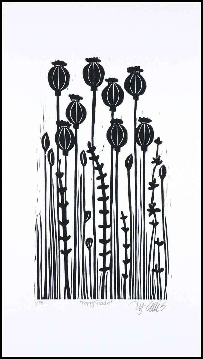 Poppy Pods by Mariann Johansen-Ellis