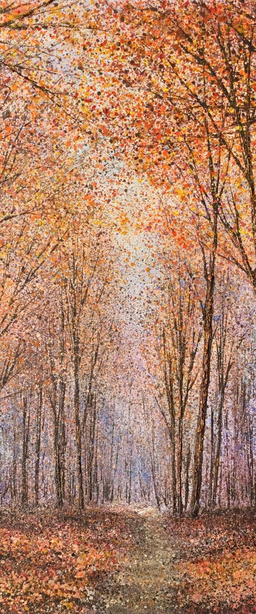 The Middle Way by Chris Bourne