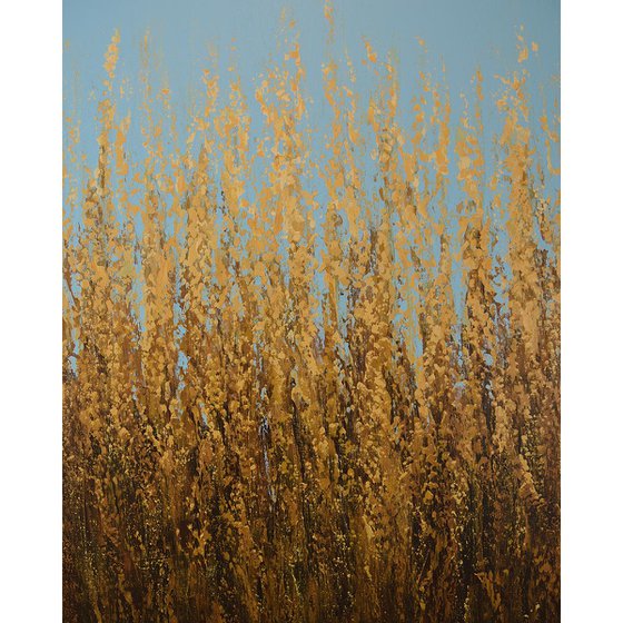 Summer Wheat