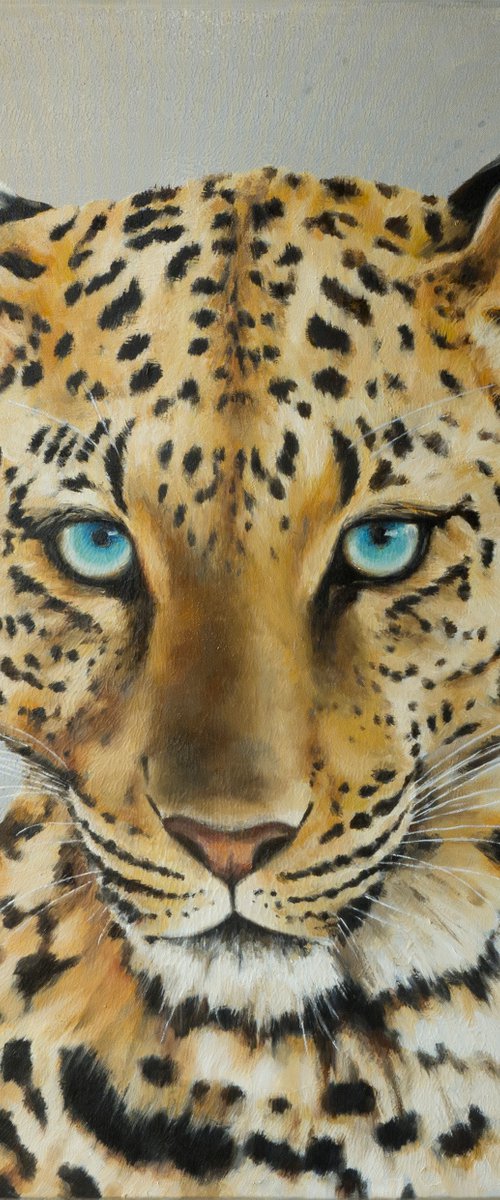 Portrait of a leopard by Lisa Braun