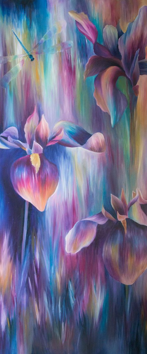 Irises by Claire  Harrison