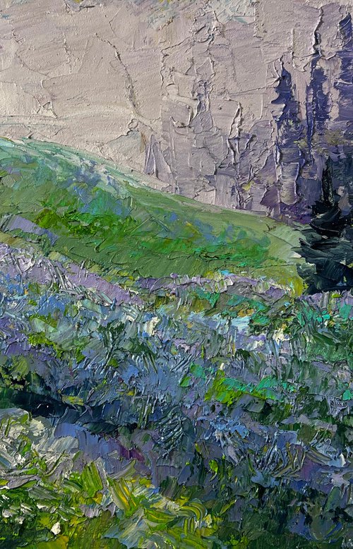 Mountain Meadows by Boris Serdyuk