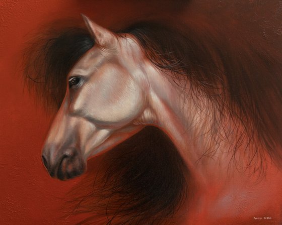 Horse Portrait